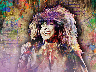 Artistic portrait of Tina Turner